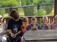 «Яблочный Спас»: конкурсно-игровая программа для детей