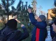 Мастер-класс «Домик для птичек» в рамках «Академии нескучных затей»