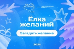 Стартовала Всероссийская акция "Елка желаний 2024"